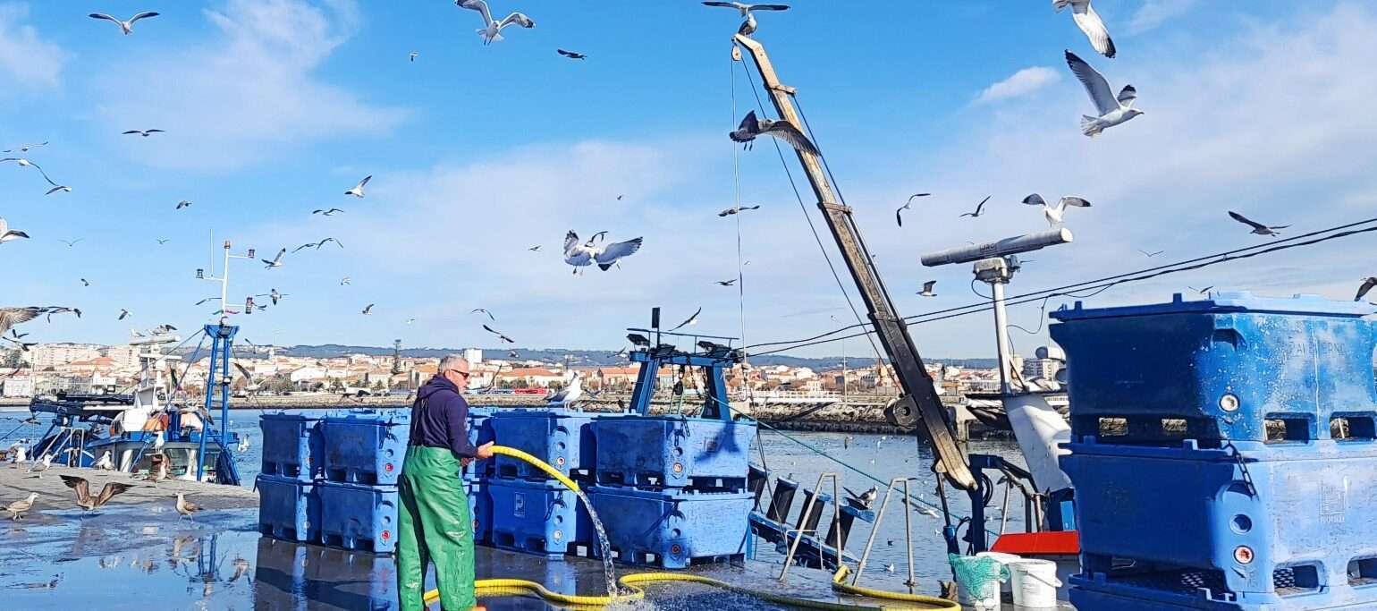 Lota da Figueira da Foz