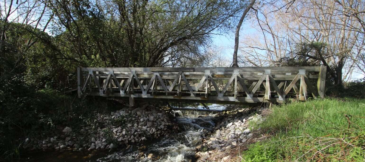 ponte sobre um riacho, simbolizando o caminho ainda a percorrer para salvar a Lei de Restauro de Natureza