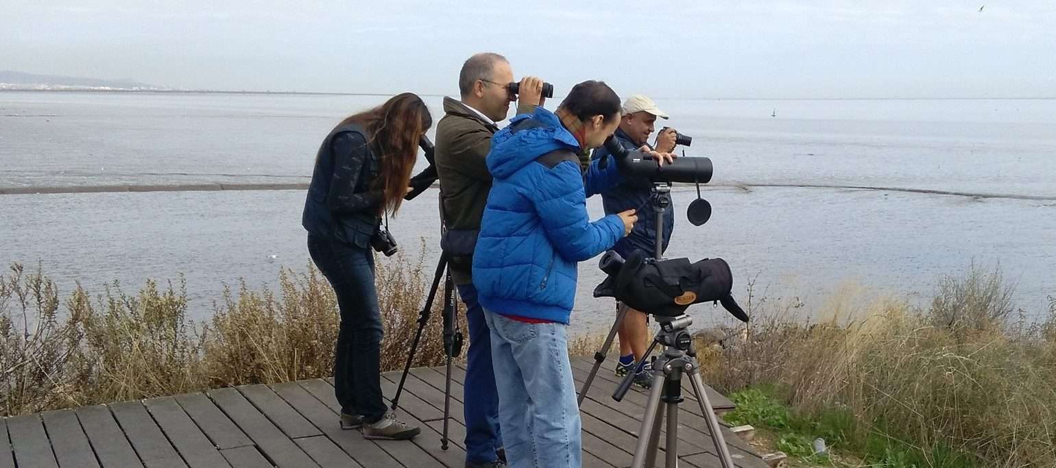 participantes numa atividade do EuroBirdwatch, a observar aves junto a uma zona húmida