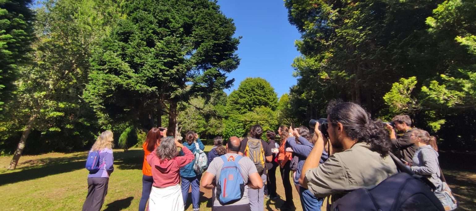 pessoas numa formação sobre censos de aves, num jardim