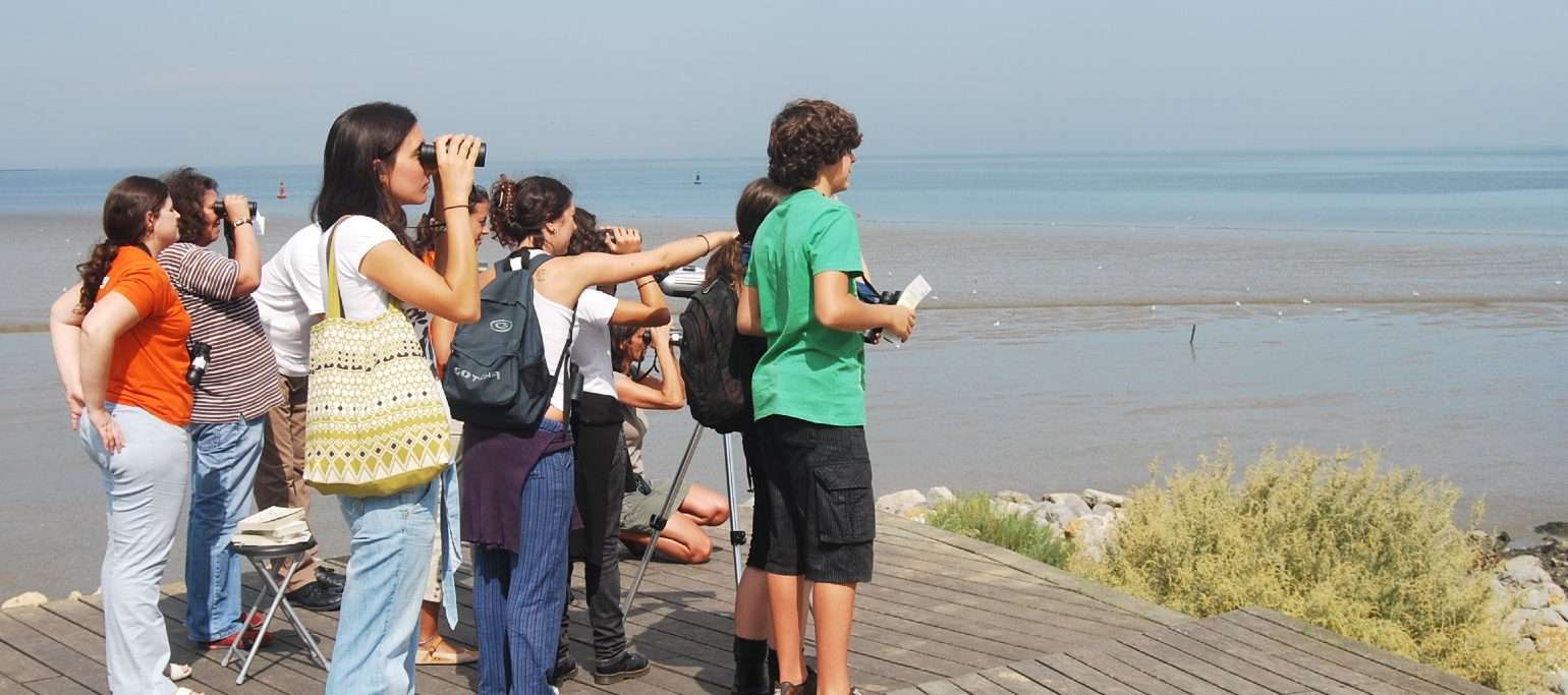 pessoas a observar aves junto ao Tejo