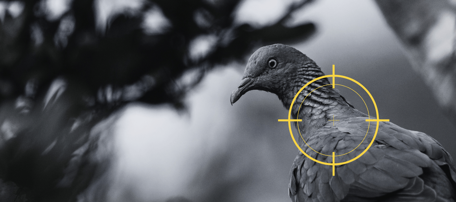 pmobo-da-madeira com mira de arma de caça