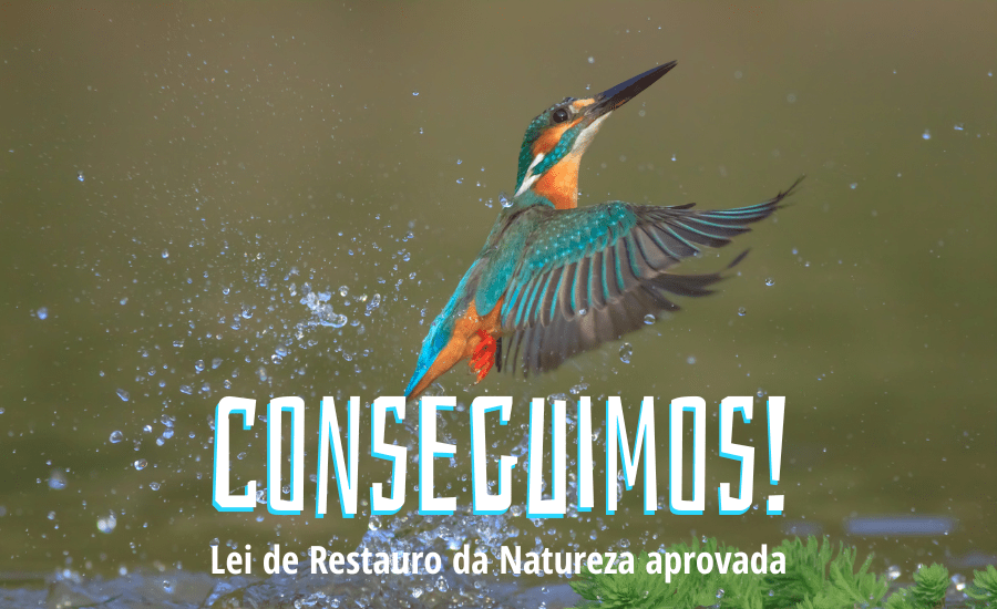 guarda-rios a levantar voo, com o texto "Conseguimos! Lei de Restauro da Natureza aprovada"