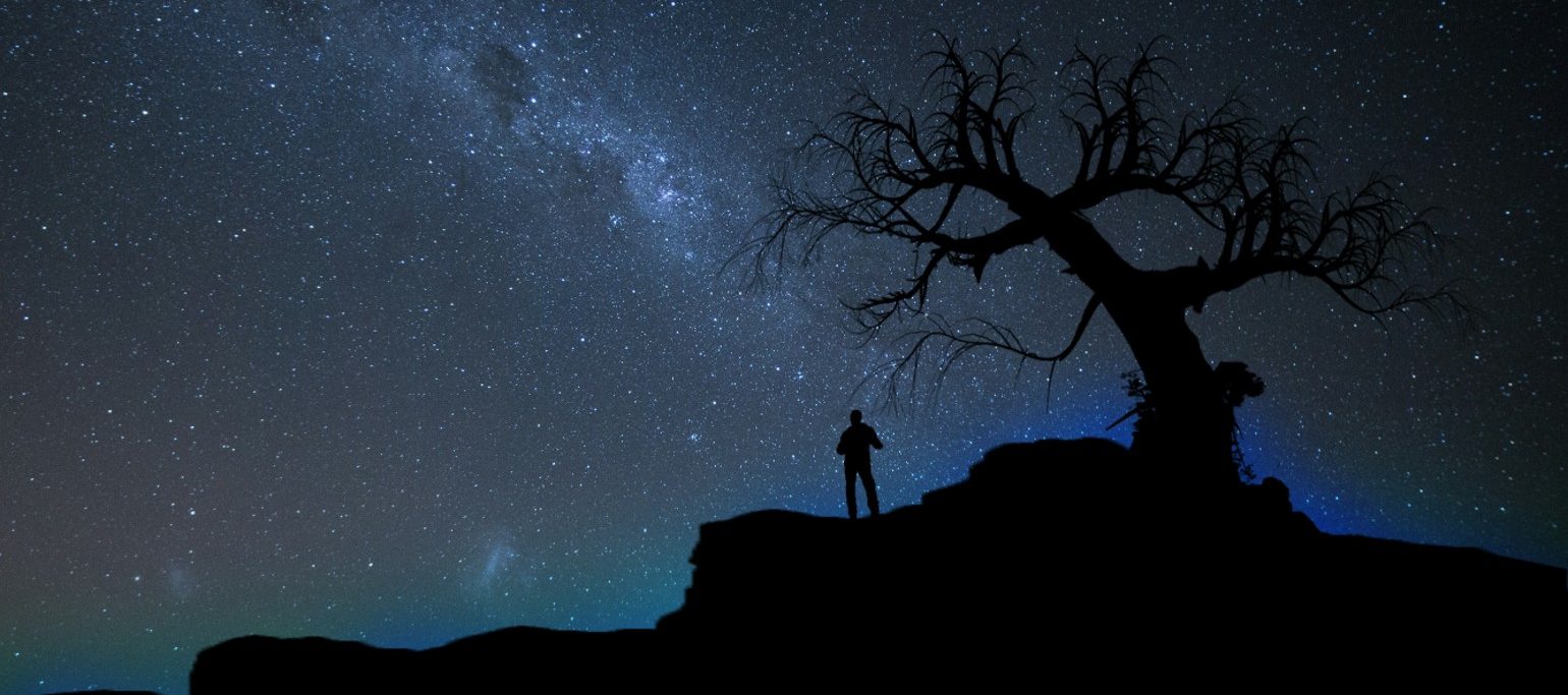 céu noturno com silhueta de uma pessoa junto a uma árvore