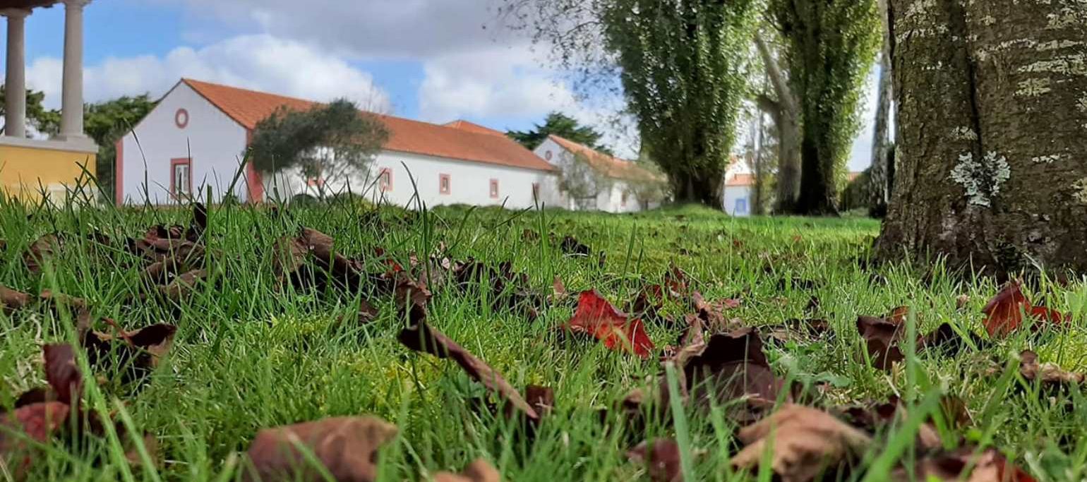 Museu Arqueológico de São Miguel de Odrinhas