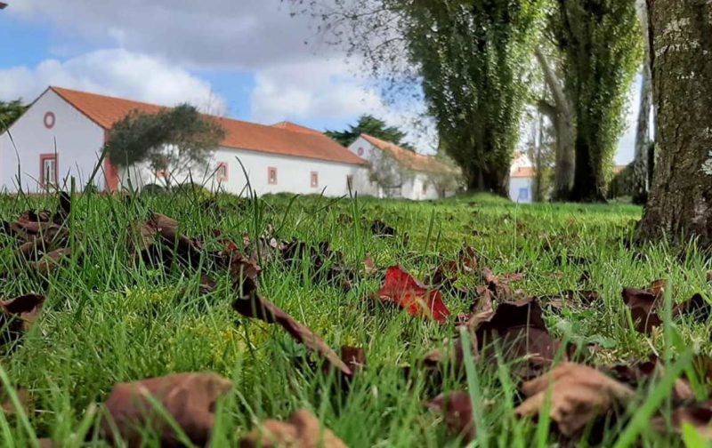 Dia das Águias | Rotas do Museu “Memórias da Água”