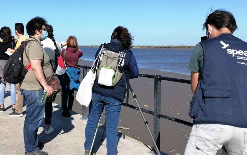 De Olho nas Aves: Póvoa de Santa Iria