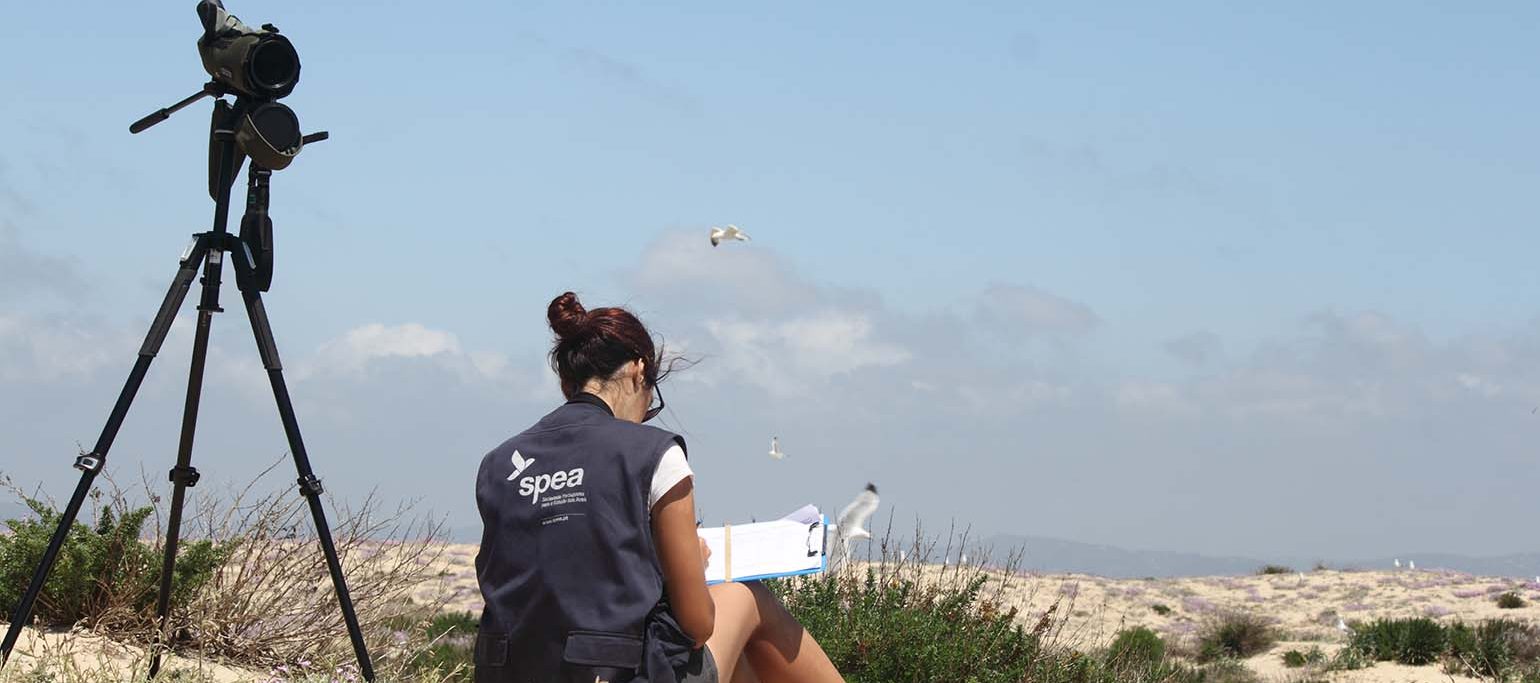 voluntária SPEA em trabalho de campo, com telescópio a tirar apontamentos