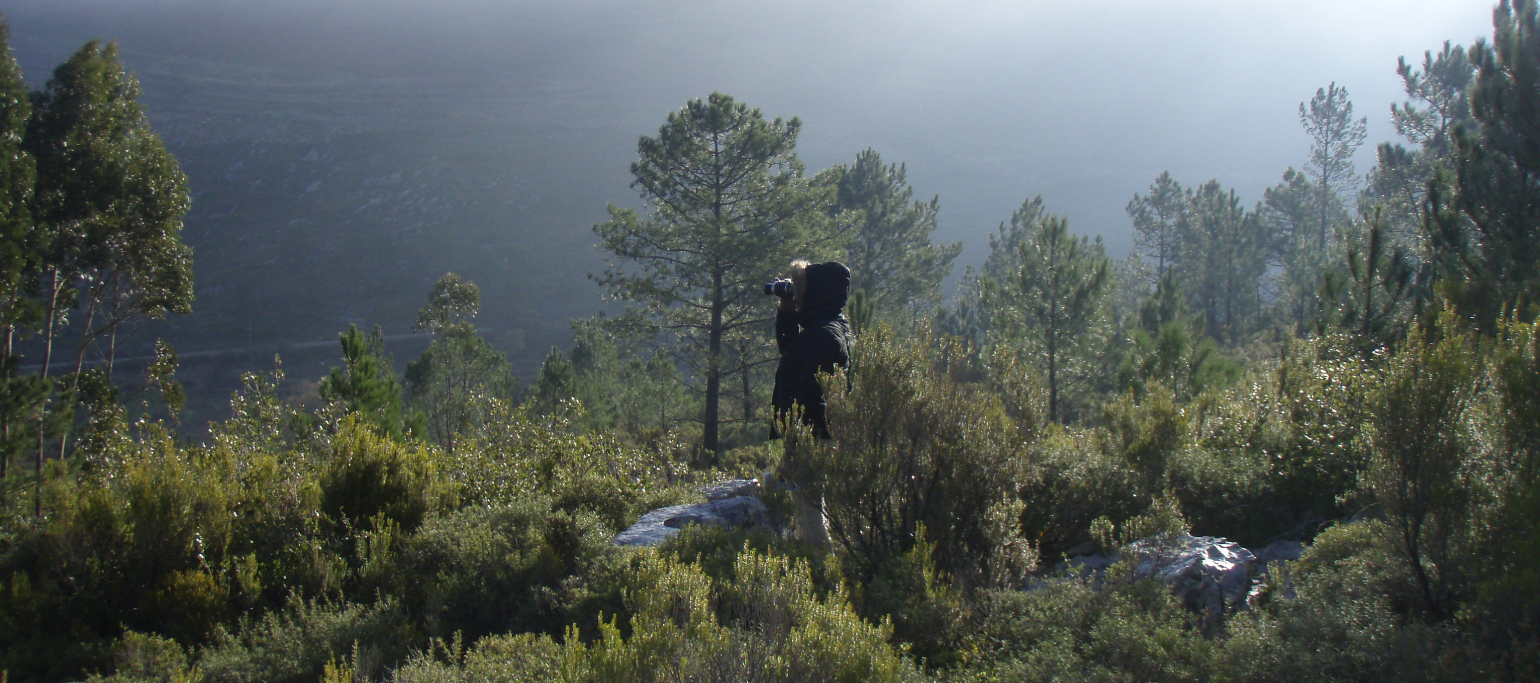 pessoa a observar aves na Serra d'Aire e Candeeiros