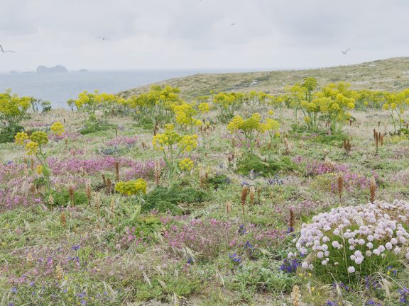 Educamos para a Biodiversidade