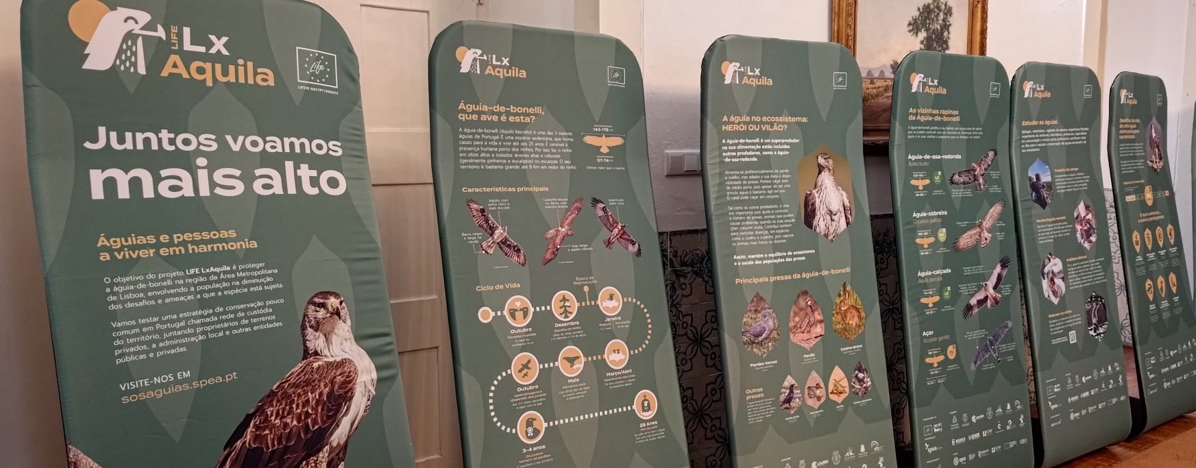 exposição As águias e nós