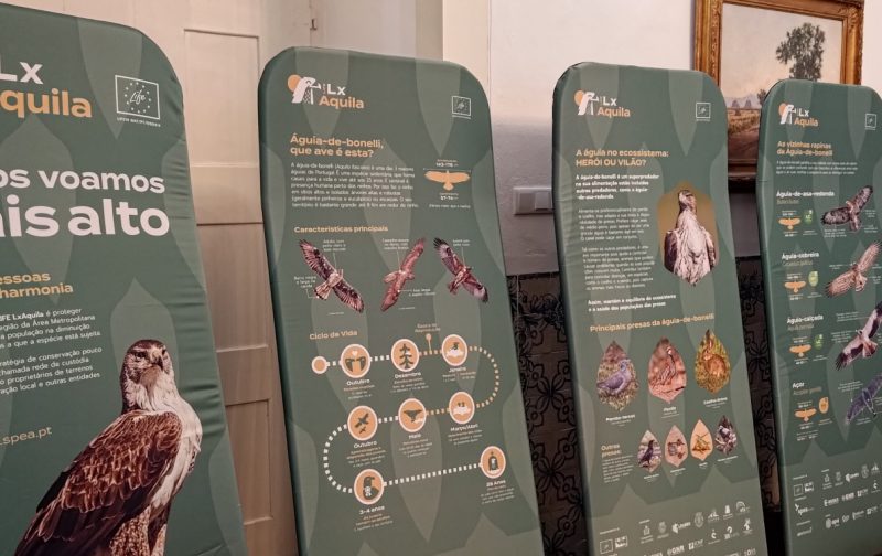 Exposição “As águias e nós – juntos voamos mais alto” – VFXira