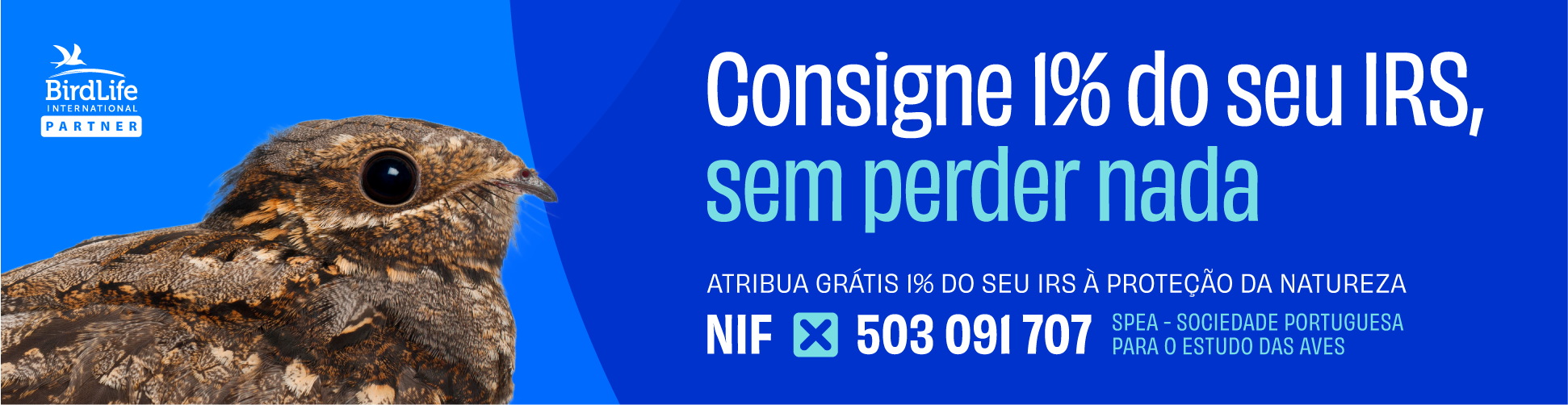 noitibó com o texto 