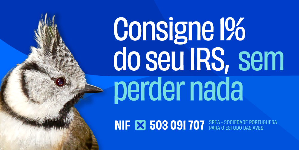 chapim-de-poupa, com o texto Consigne 1% do seu IRS, sem perder nada