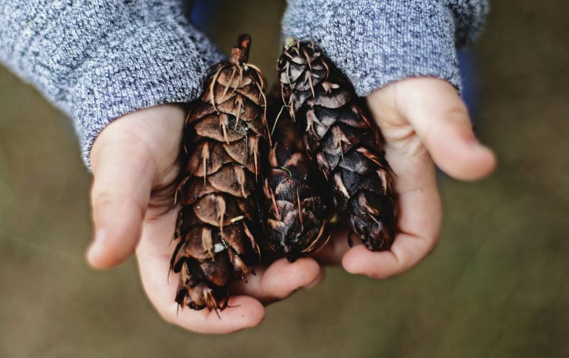 Sentidos da Natureza | Quinta das Conchas