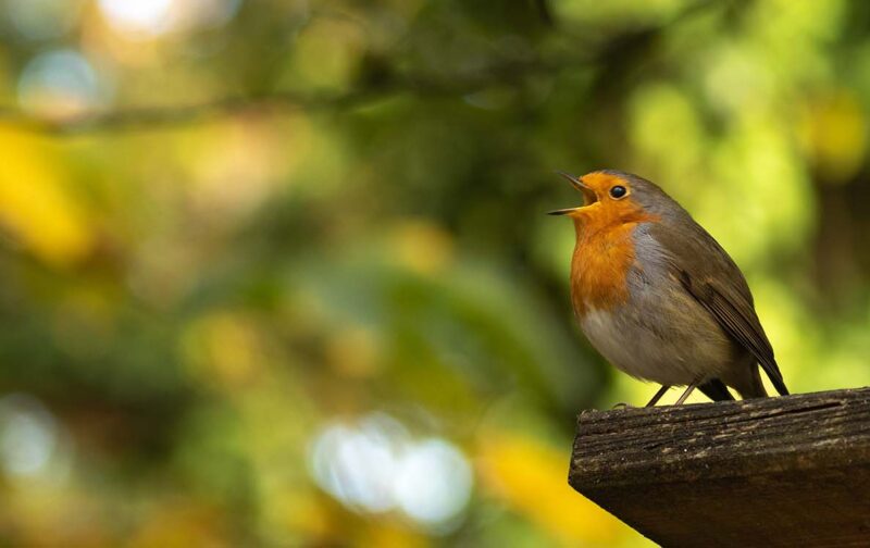 Assembleia Geral dia 30 de março, por videoconferência