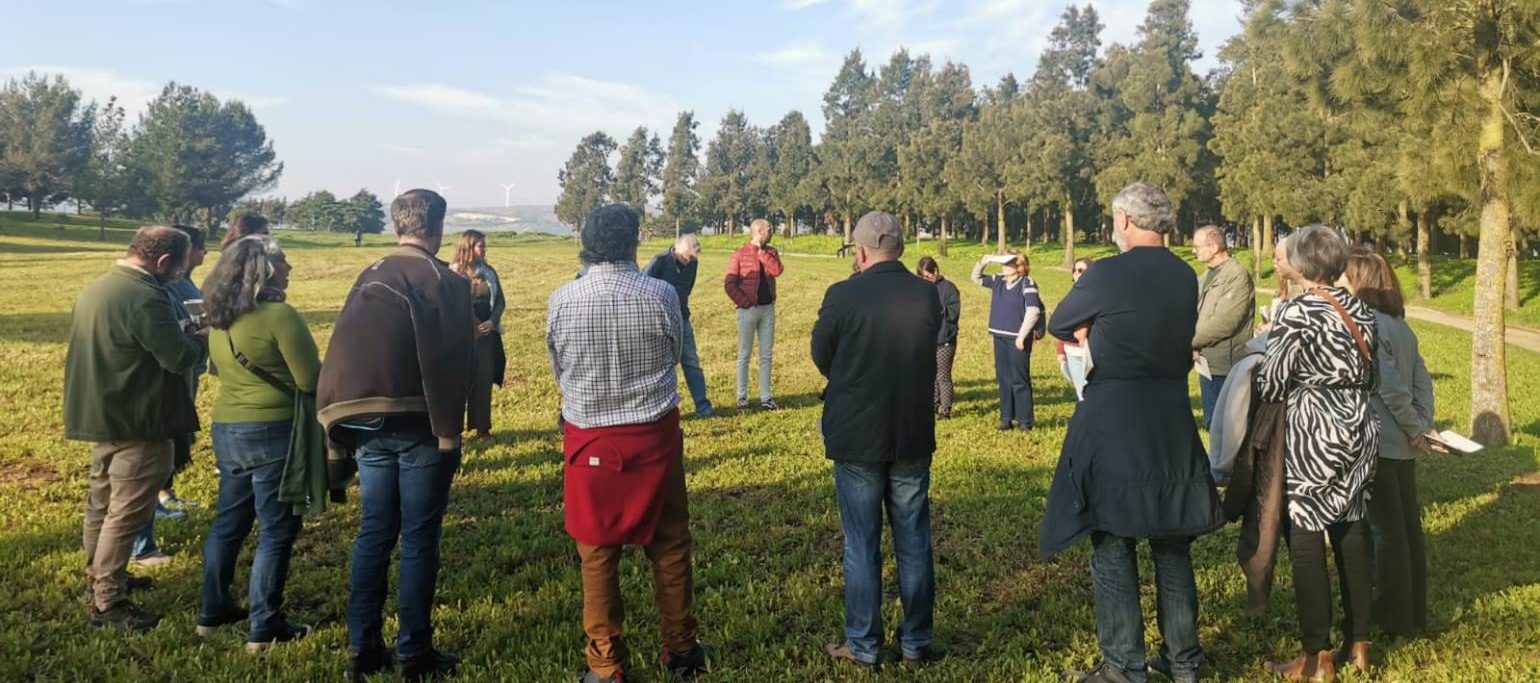 professores em atividade prática durante workshop de formação