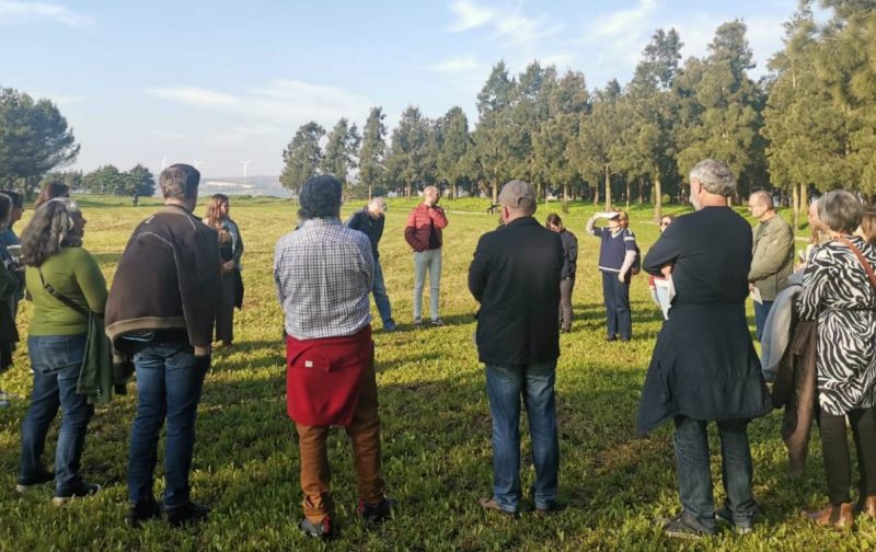 Workshop de Educação Ambiental “As águias e nós” (2.ª edição)