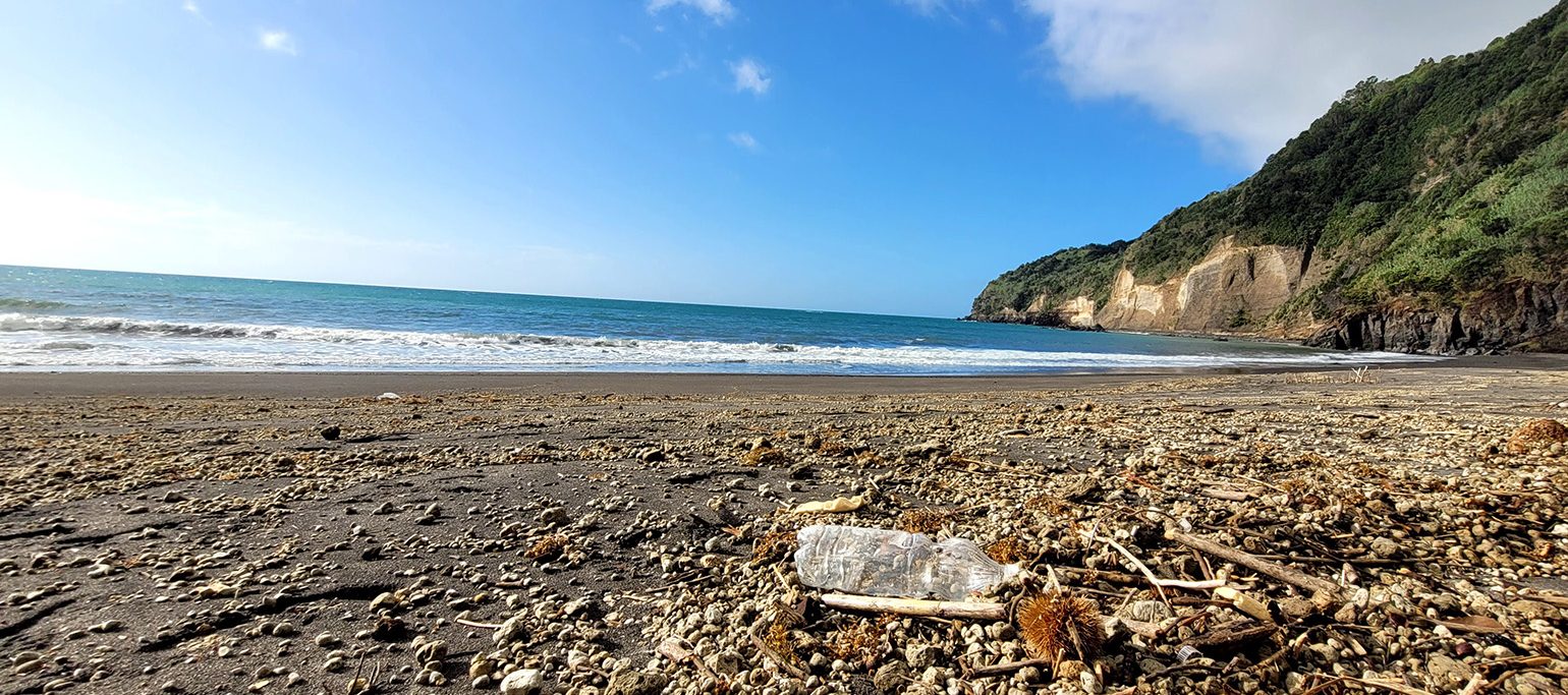 lixo marinho numa praia nos Açores
