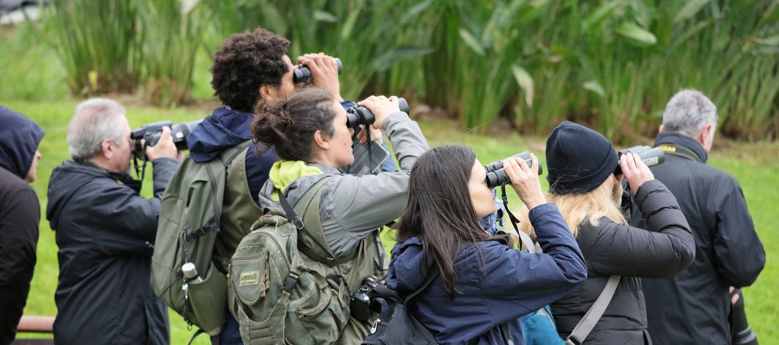 Grupo de pessoas a observar aves
