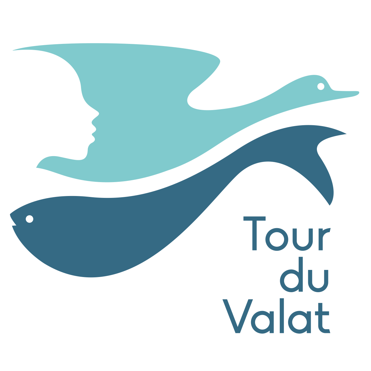 logo Tour du Valat 