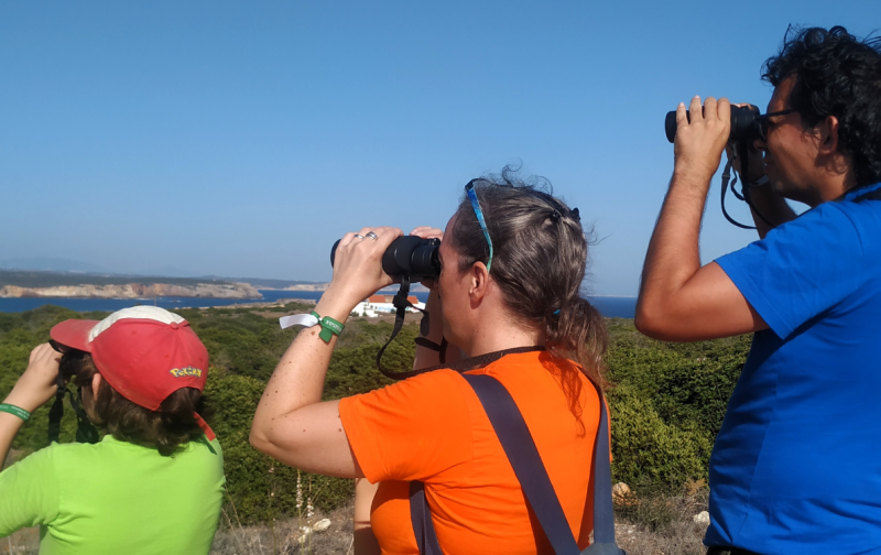 Descobrir as aves em família