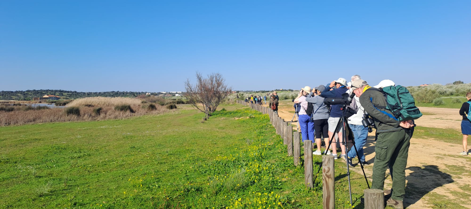 pessoas a observar aves na Lagoa dos Salgados