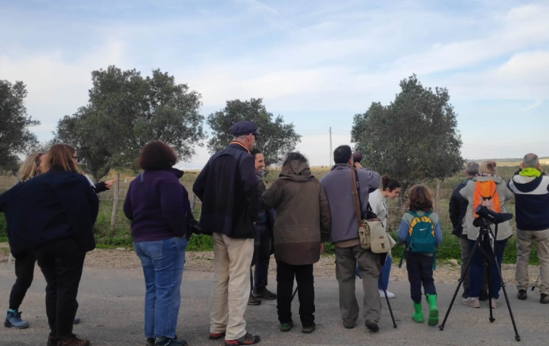 Birdwatching na Estrela