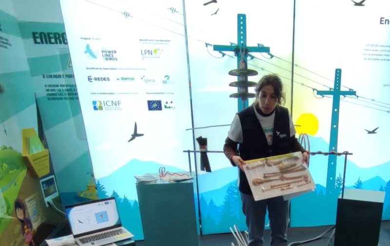 Novo módulo para reportar incidentes com aves em linhas elétricas