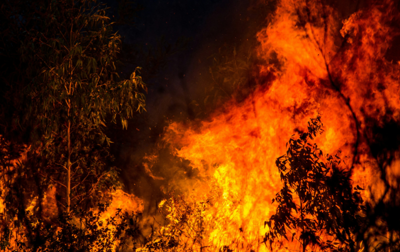 Mais vale prevenir que (a)pagar: é urgente uma nova estratégia no combate aos incêndios