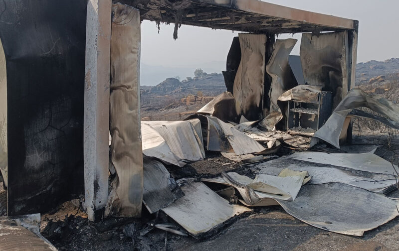 Incêndio destrói ninhos de abutre-preto no Douro Internacional e compromete recuperação da espécie