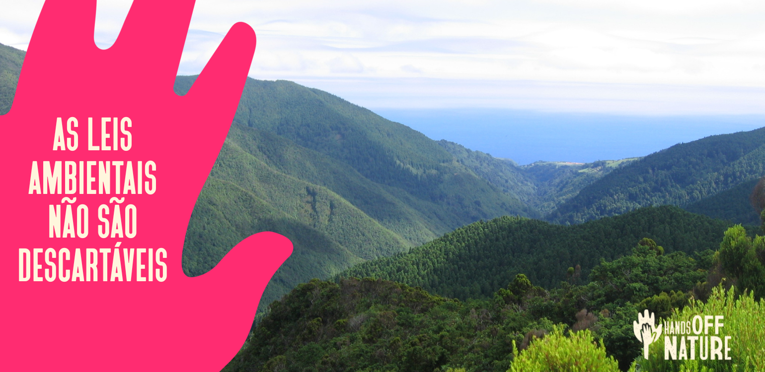 Paisagem da Madeira com mão por cima com o texto "As leis ambientais não são descartáveis"