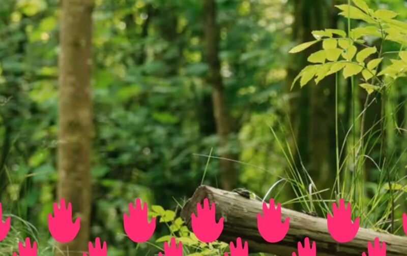 #HandsOffNature: Quase 200 mil vozes erguidas para proteger as leis ambientais