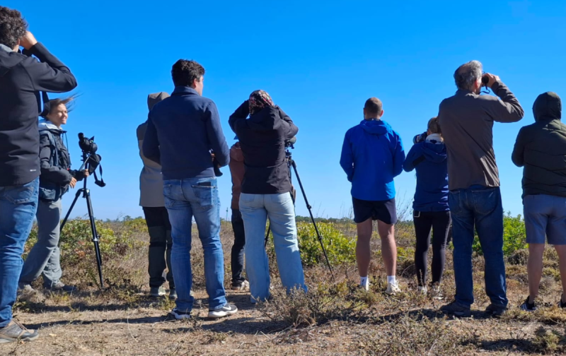 Observação de aves na Várzea do Sorraia
