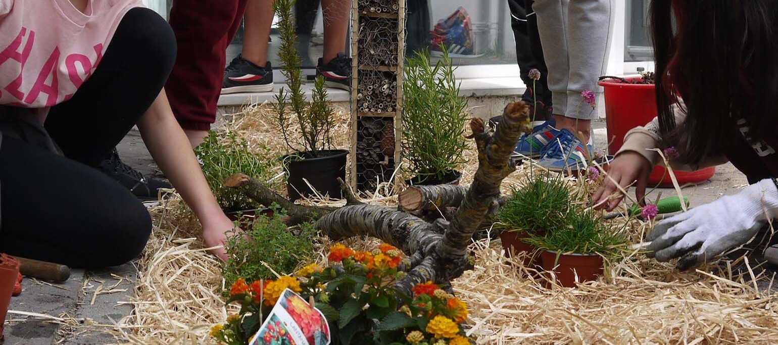 jardim da biodiversidade numa escola