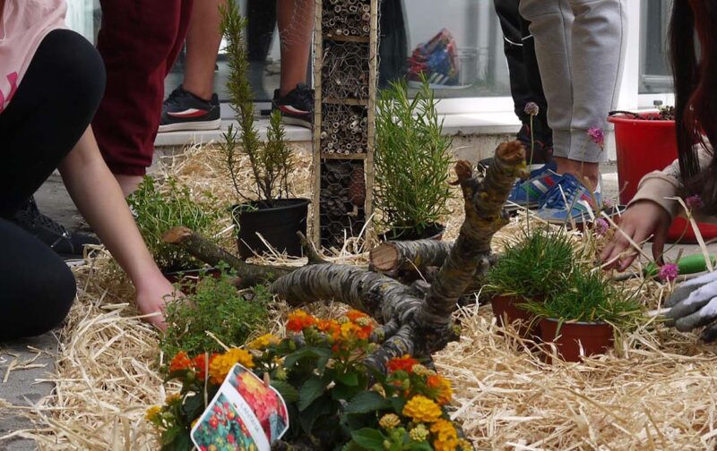 Jardins da Biodiversidade na sua escola ou bairro