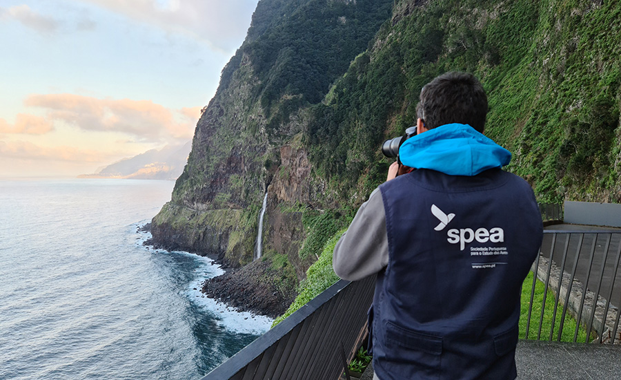 membro de staff SPEA a fotografar aves numa escarpa junto ao mar, Madeira