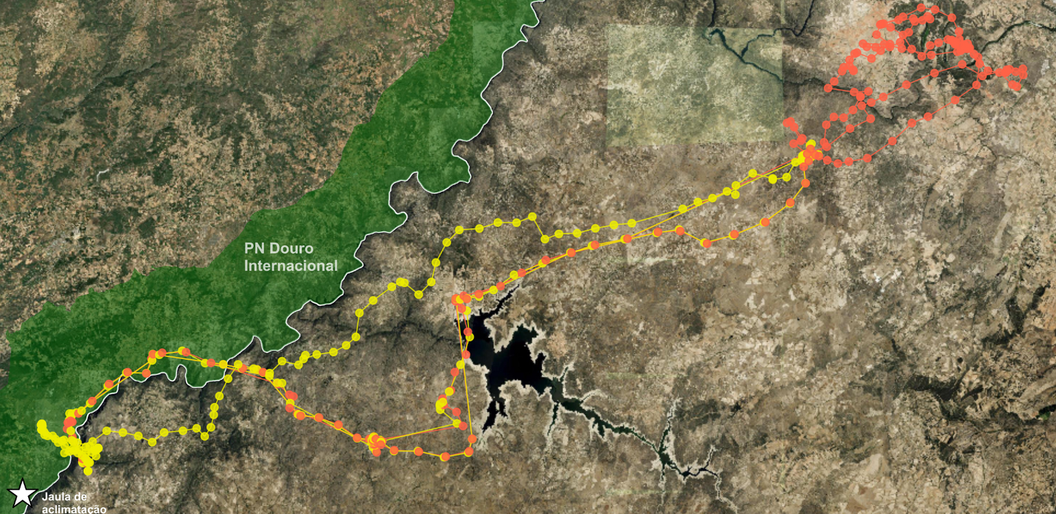 Movimentos síncronos