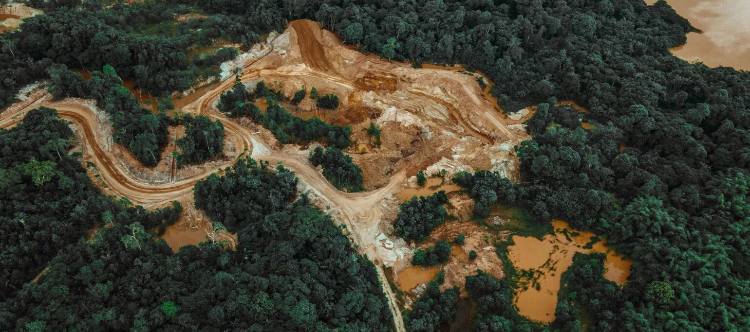 desflorestação: vista aérea de floresta com grande área arrasada