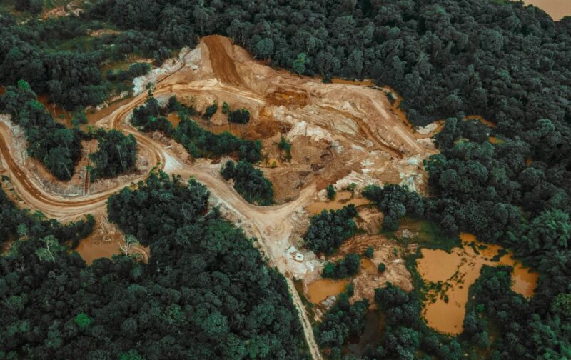 Desflorestação: ações em Bruxelas desmentem intenções proferidas na COP#30