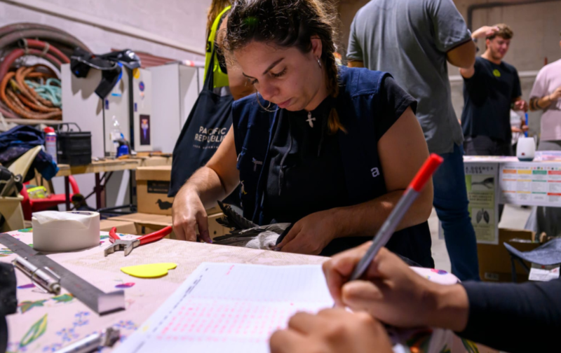 Resgatámos mais de 1000 cagarros nos Açores