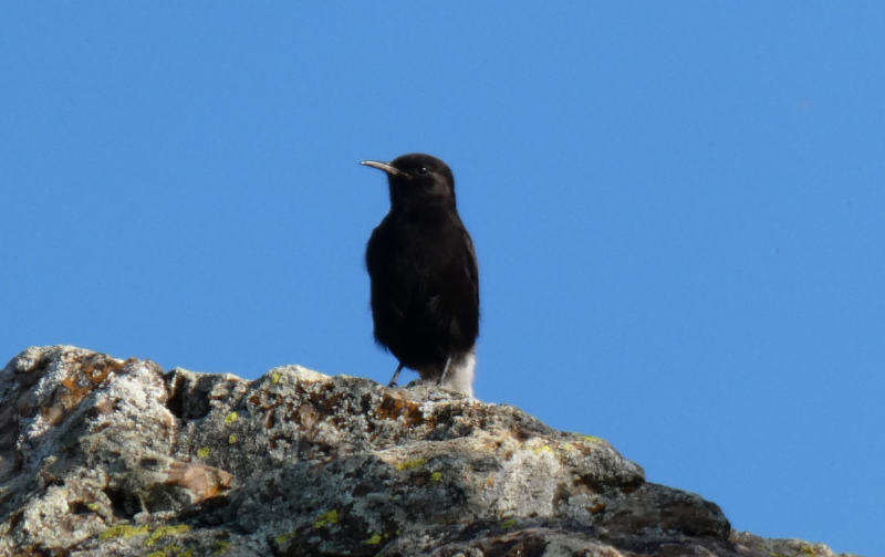 Visita a La Serena y Sierras Periféricas