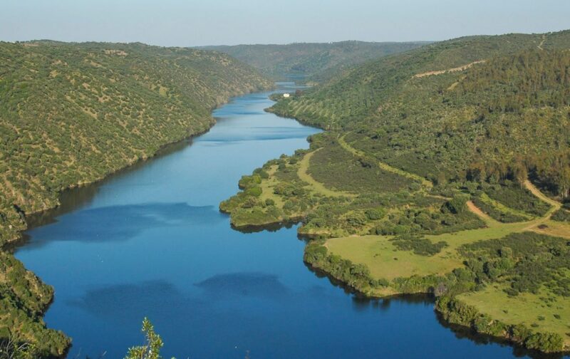Central Fotovoltaica da Beira: chumbada