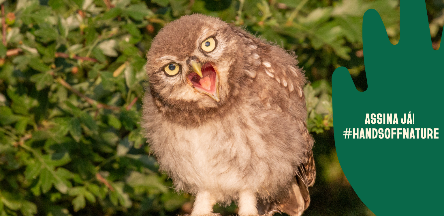 mocho a "gritar" com o símbolo da campanha e o texto "Assina já! #HandsOffNature"