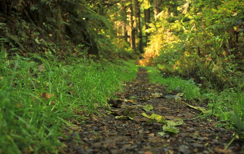 Os próximos meses serão decisivos para a Natureza na Europa