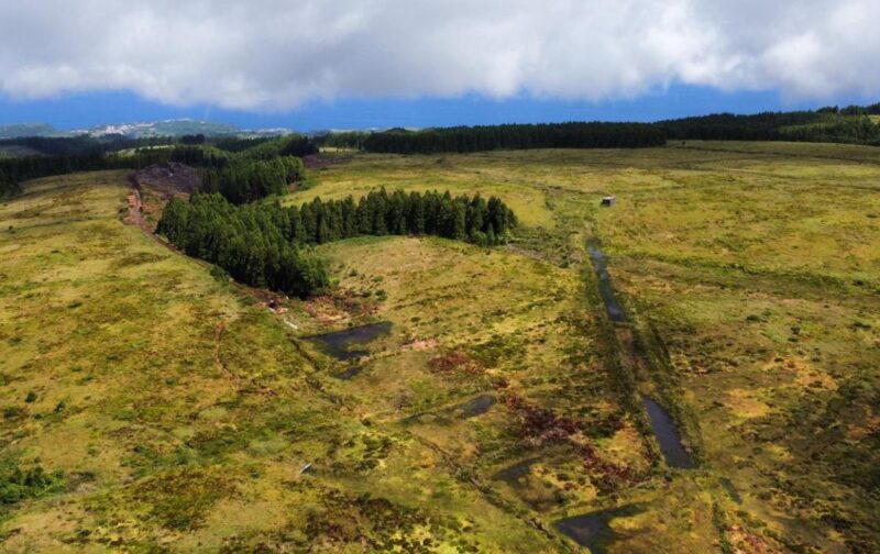 Restaurar a turfeira para garantir o nosso futuro
