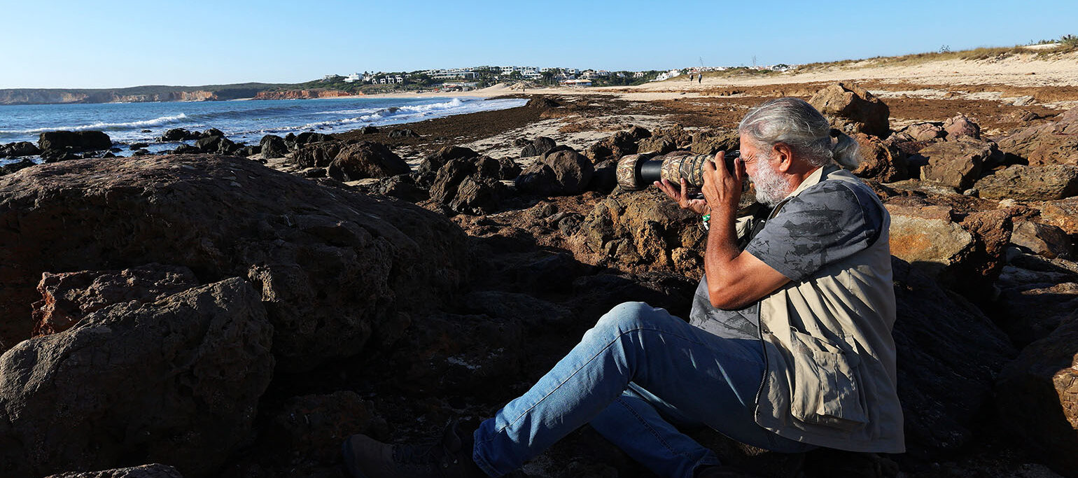 homem a fotografar aves numa praia rochosa em Sagres