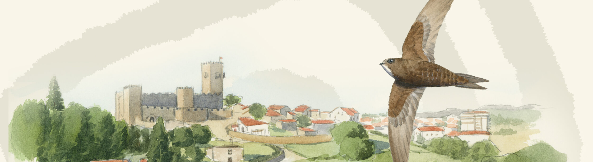 cartaz Naturcôa: Aves & Património