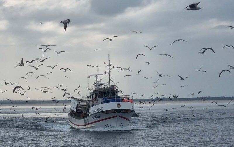 Portugal dá passo importante contra capturas acidentais 
