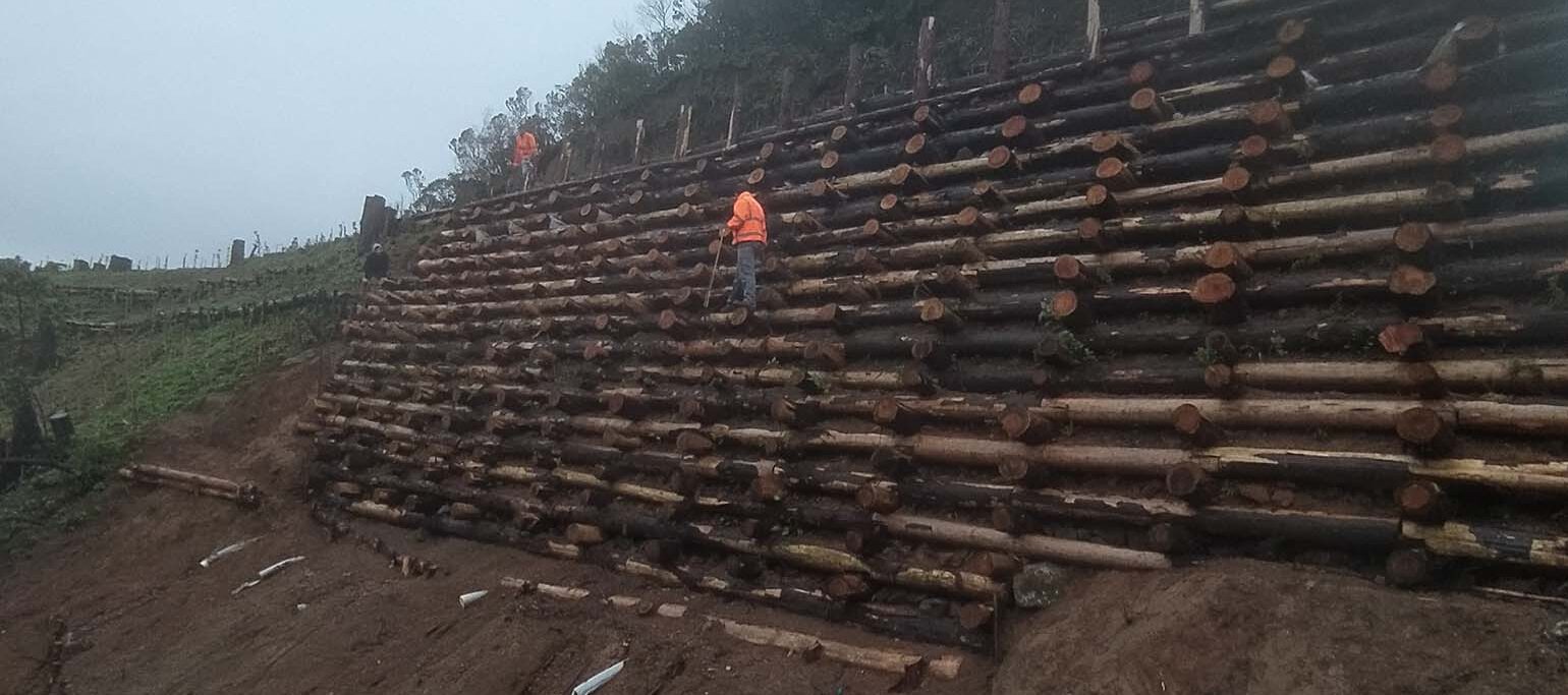 equipa SPEA Açores a construir um muro natural